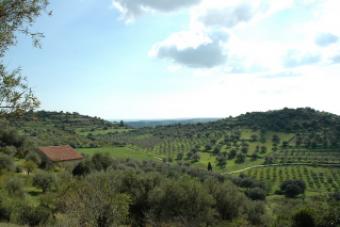 Beautiful Noto, Sicily Noto
